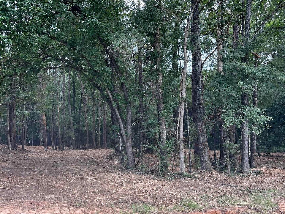 2nd image of Highway 10