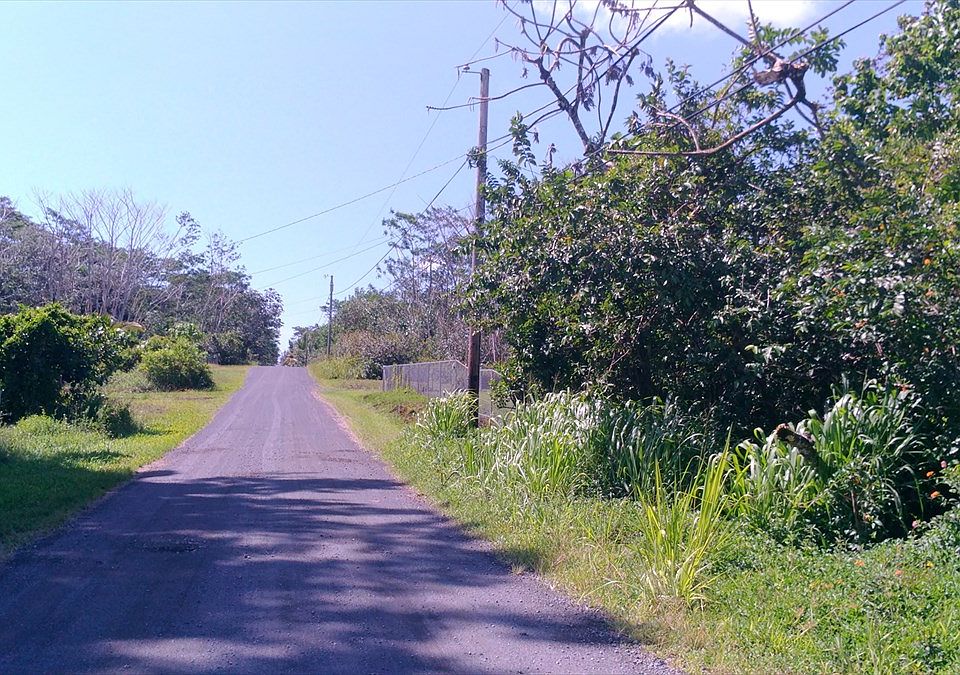 2nd image of 17th St Lot 490