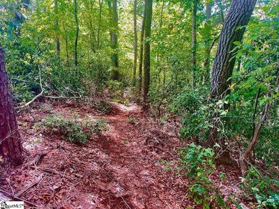 1048 Lingering Water Ln, Chesnee, SC, 29323