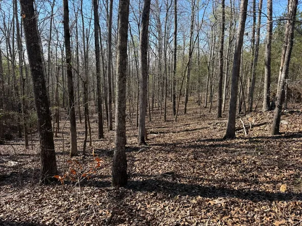 0 Watkins Pond Rd, Waynesboro, GA 30830
