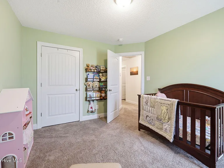 708 Puppy Drum Ln — Photo 27