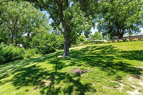 5th image of 1272 Golden Valley Dr