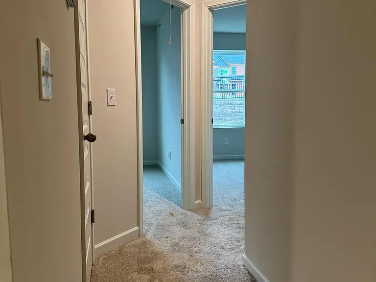 5074 Dayflower Dr — Photo 16