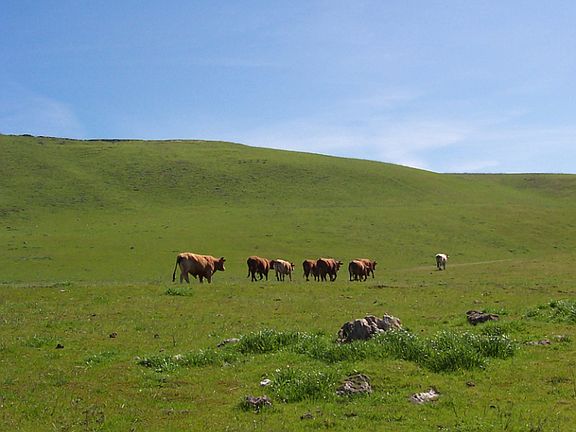 5th image of 3380 Highway 135