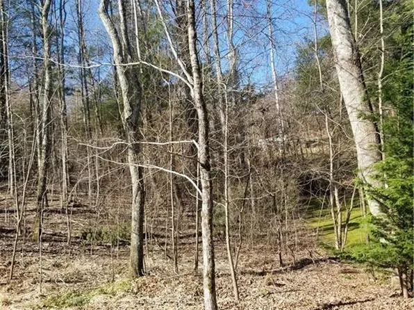 129 Oak Apple Ln, Hendersonville, NC 28792