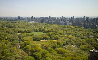 Rented by Wayne Jentis Real Estate