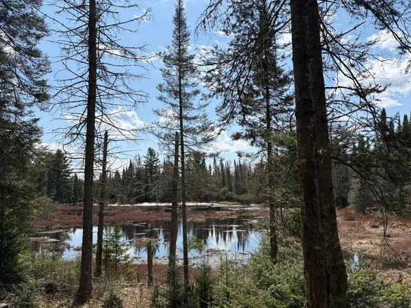 Waterfall Way Dr, Presque Isle, WI 54557