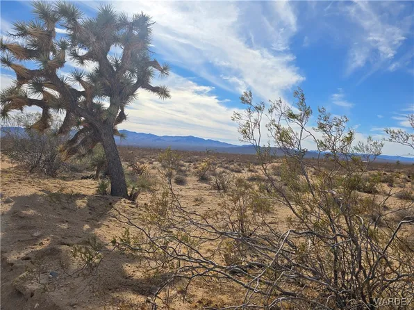 242-20 W Brittlebush Dr #10, Yucca, AZ 86438