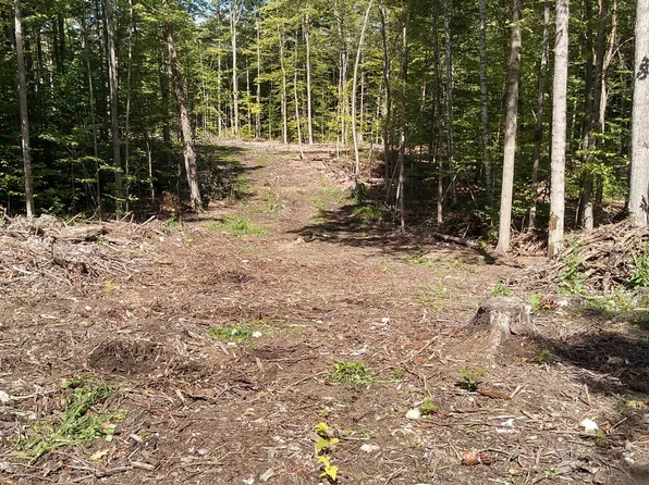 TBD Lower Plains Road #3, Salisbury, VT 05769