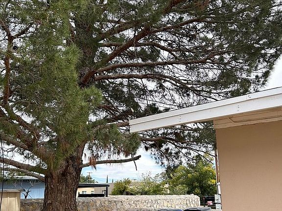 5th image of 8801 Mount Whitney Dr