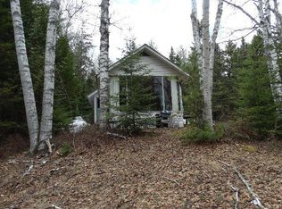 154 Griffin Rd, Indian Lake, NY 12842