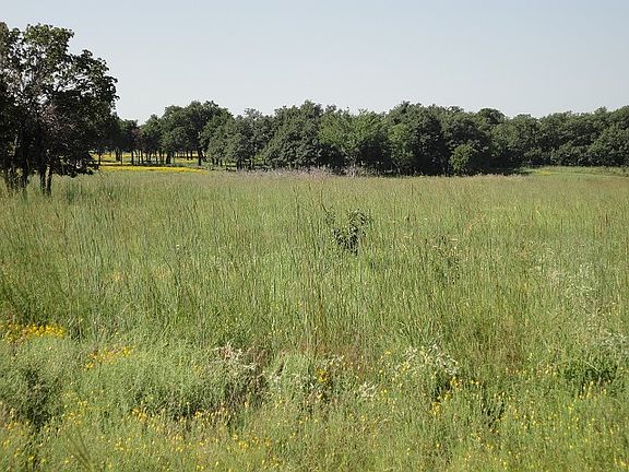 Osage Prairie Grass pasture
