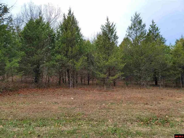 225-00008-000 Mc #134, Oakland, AR 72661