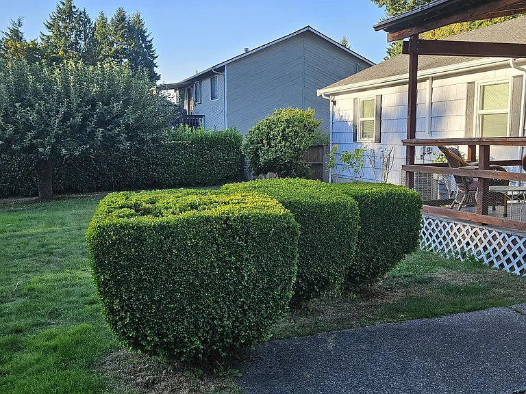 Yearley Dr NE — Photo 6