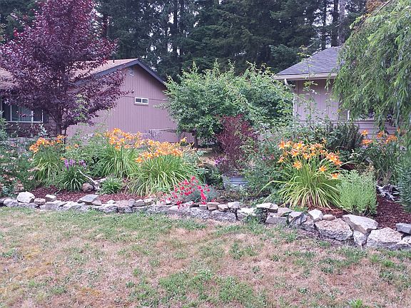 Well cared for front garden