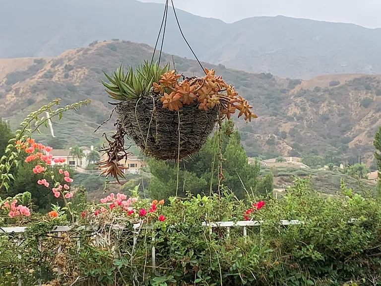 Deaver Dr — Photo 42