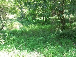 1 Riffle Run Rd, Grantsville, WV 26147