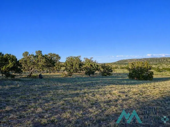 158 Deer Cir #A, Quemado, NM 87829