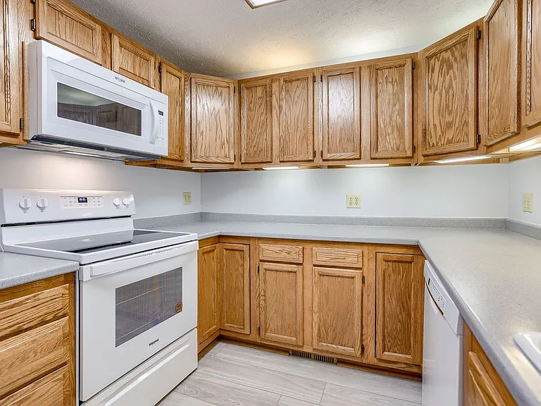 1230 Cole Creek Dr — Photo 6