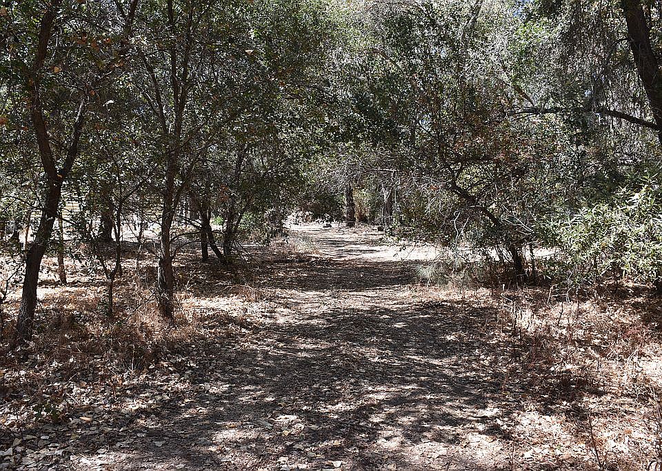 2nd image of 1770 Hungry Hollow Rd