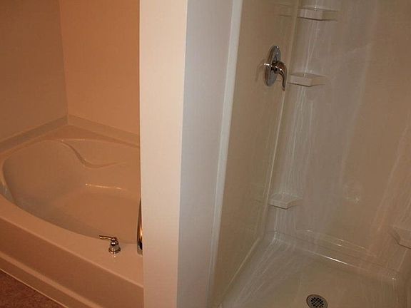 Separate Shower and Tub