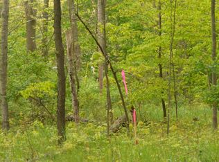 5880 Forest Ave, Harbor Springs, MI 49740