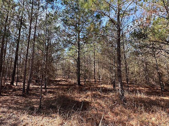 3rd image of 63-003A Four Points Rd W