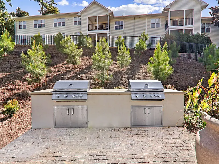 Outdoor Grilling Area