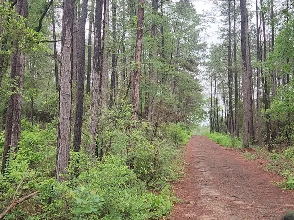 LOT 33 Gum Tree Ln Lot 33, Plantersville, TX 77363