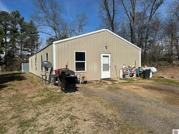 2701 Swan Rd, Farmington, KY 42040