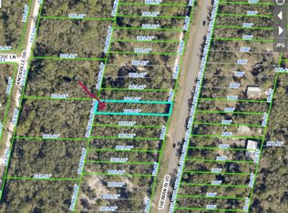 0 Treiman Blvd, Webster, FL 33597
