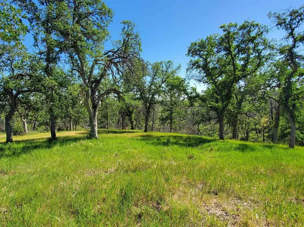 15687 Stagecoach Rd, Corning, CA 96021