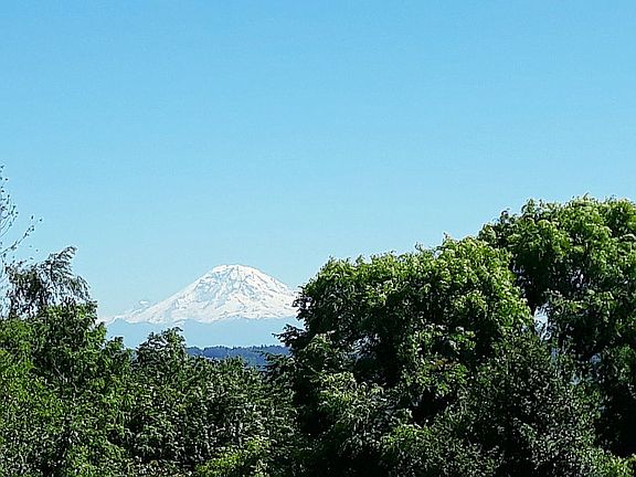 View of Mt. Rainier 