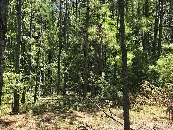 2nd image of 0 County Road 26