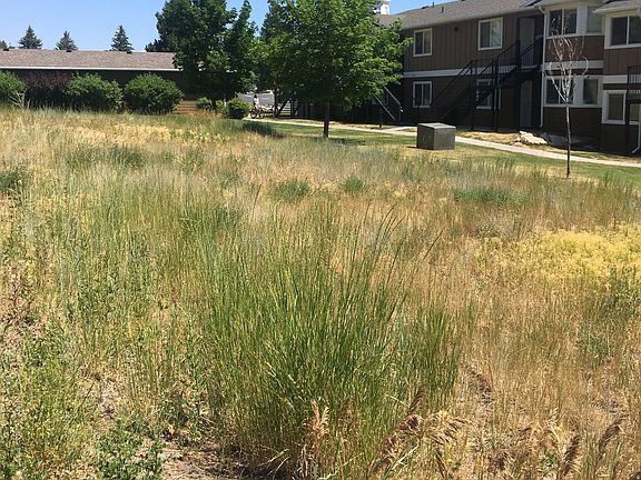 3rd image of 381 W Raspberry Patch Rd