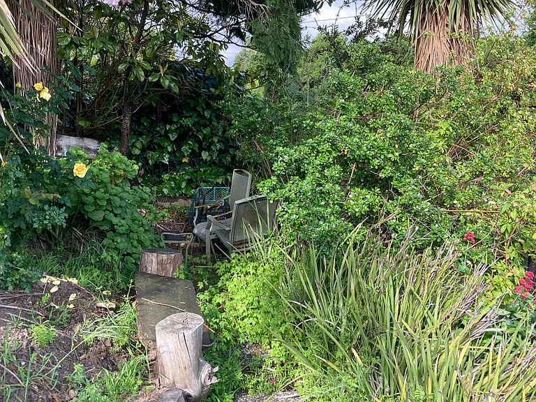 Rose ground covers, tea hybrids, and climbers