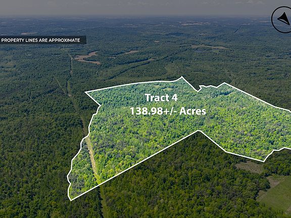 5th image of 605 Morris Beshear Rd