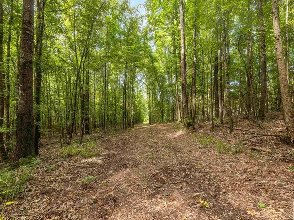 County Road 2472, Douglassville, TX 75560