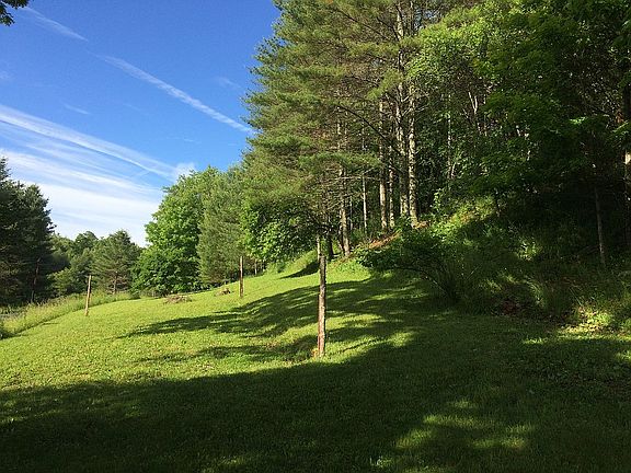 Field along road front
