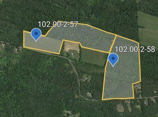 0 Indian Ridge Rd, Earlton, NY 12058