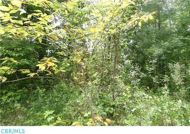2nd image of 1481 Daventry Ln