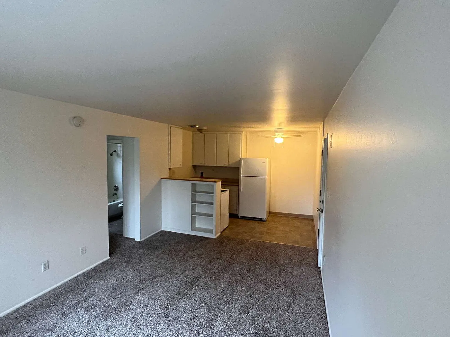 1 bed, 1.0 bath, 700 sqft, $950 — Photo 4