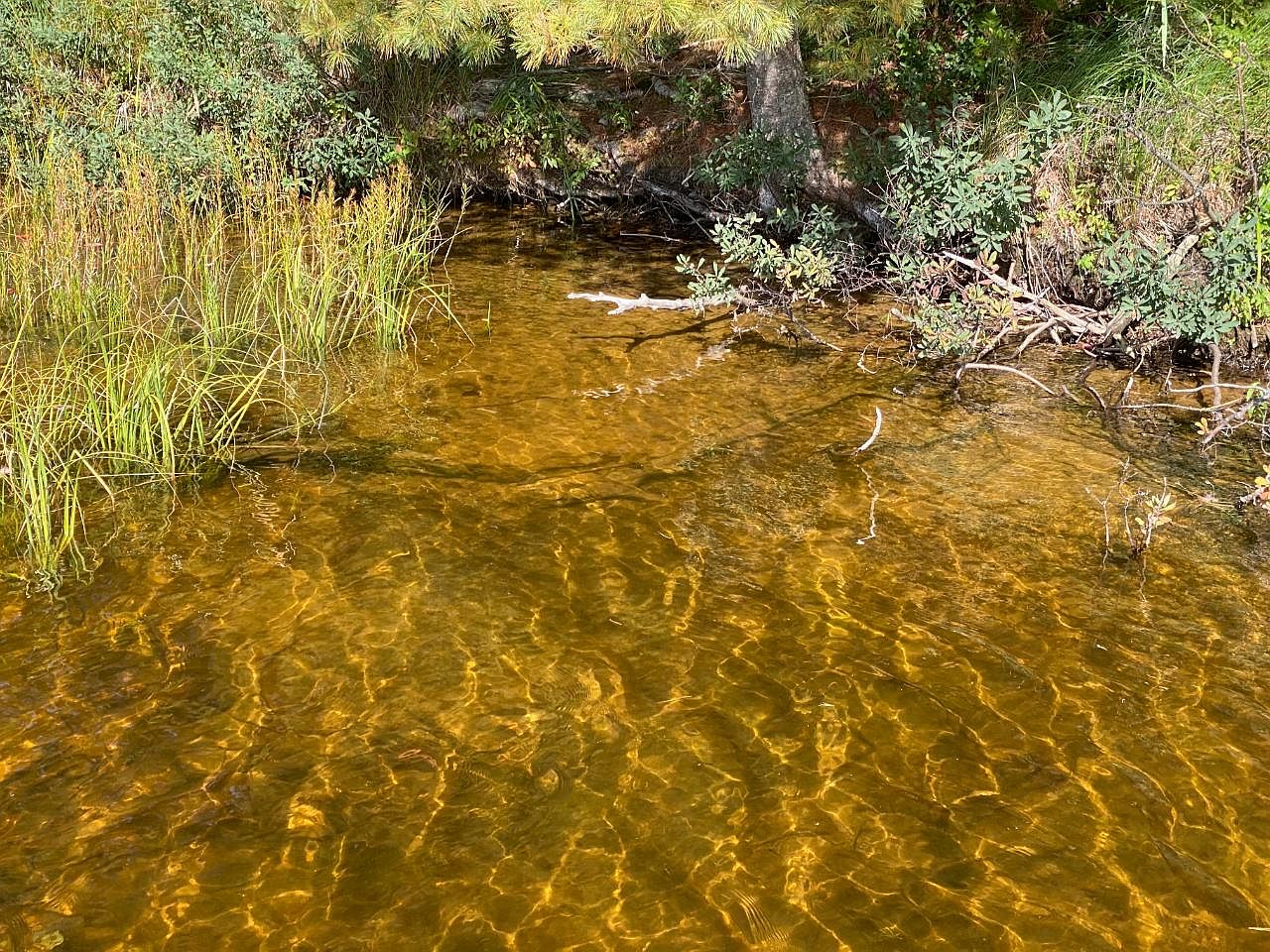 0 Annabelle Lake Rd 22397, Presque Isle, WI 54557 MLS 199073 Zillow