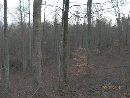 3rd image of Hilltop Cir