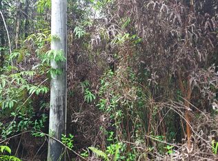 11-3182 Lehua St LOT 6849, Hilo, HI 96720