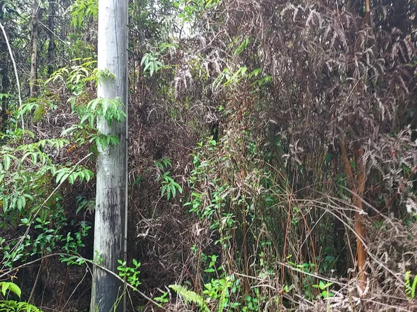 11-3182 Lehua St Lot 6849, Hilo, HI 96720