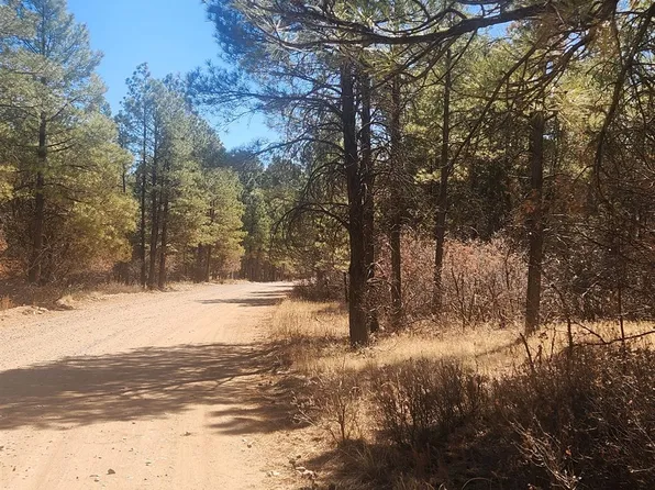 Carson Dr #8, Timberon, NM 88350