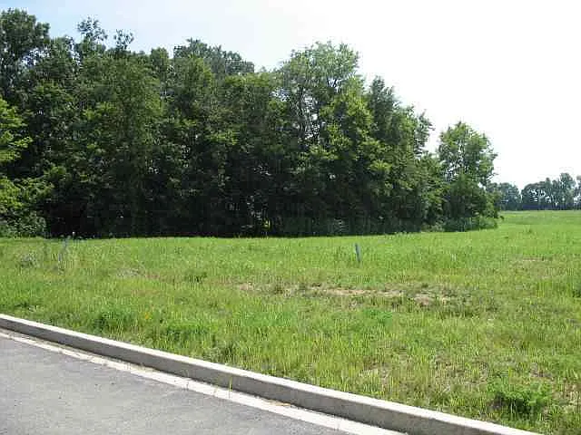 101 Amelia Dr photo 1
