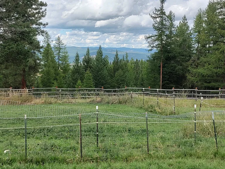 245 Frontier Trl — Photo 35