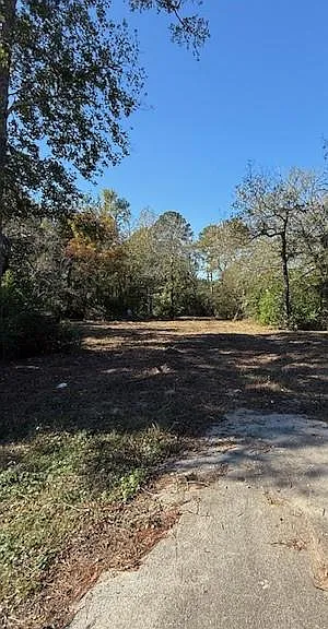 9367 FM 149 Rd — Photo 2